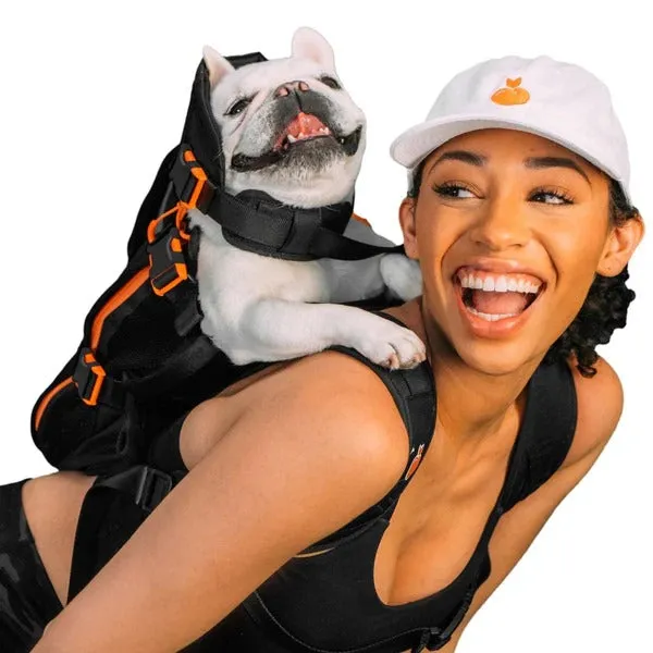 Dog Carrier Backpack – Perfect for Travel, Hiking & Outdoor Adventures